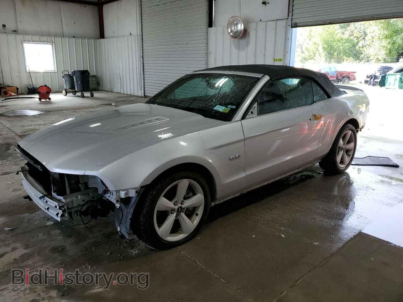 Фотография 1ZVBP8FF8D5202167 - FORD MUSTANG 2013