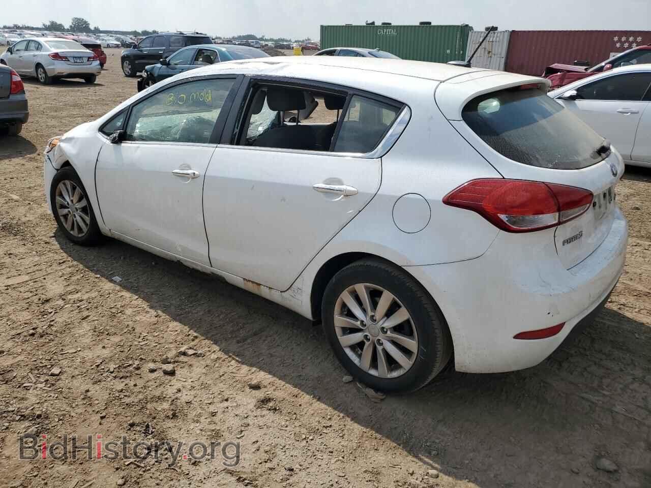 2015 KIA FORTE - VIN: KNAFX5A84F5303461 - Фото 2