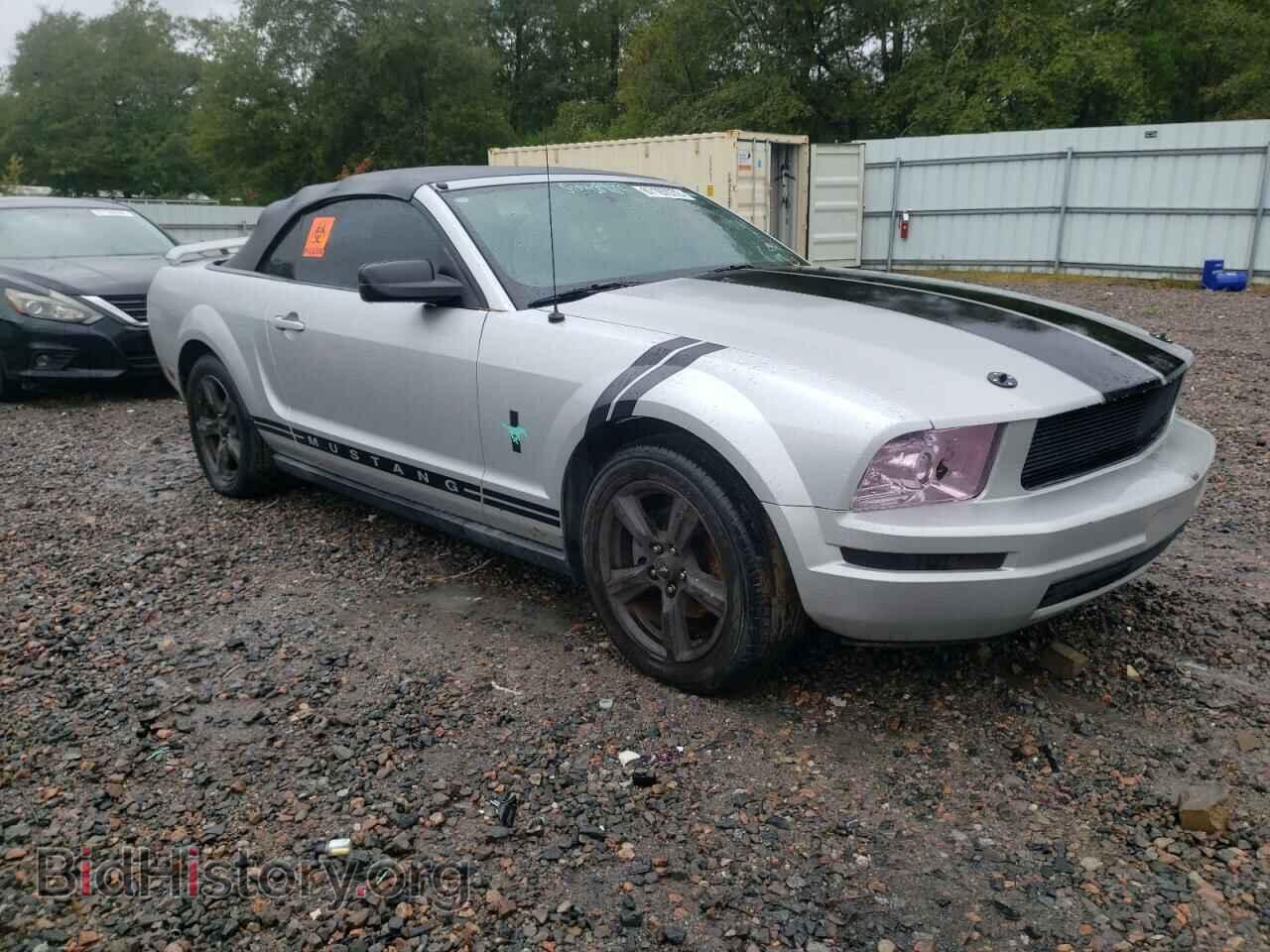 Фотография 1ZVFT84N965174809 - FORD MUSTANG 2006