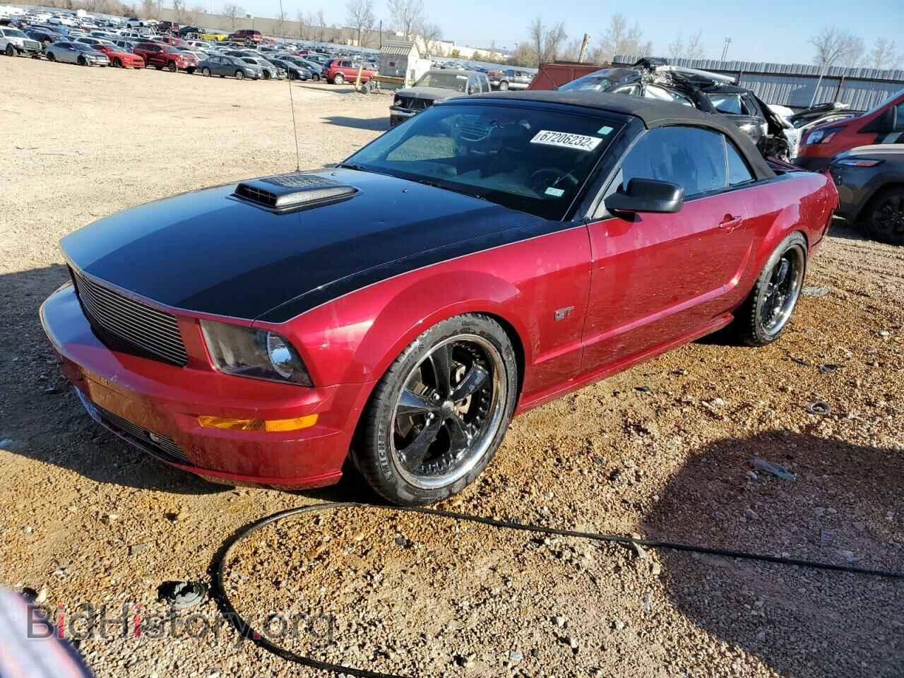 Photo 1ZVHT85H985172059 - FORD MUSTANG 2008