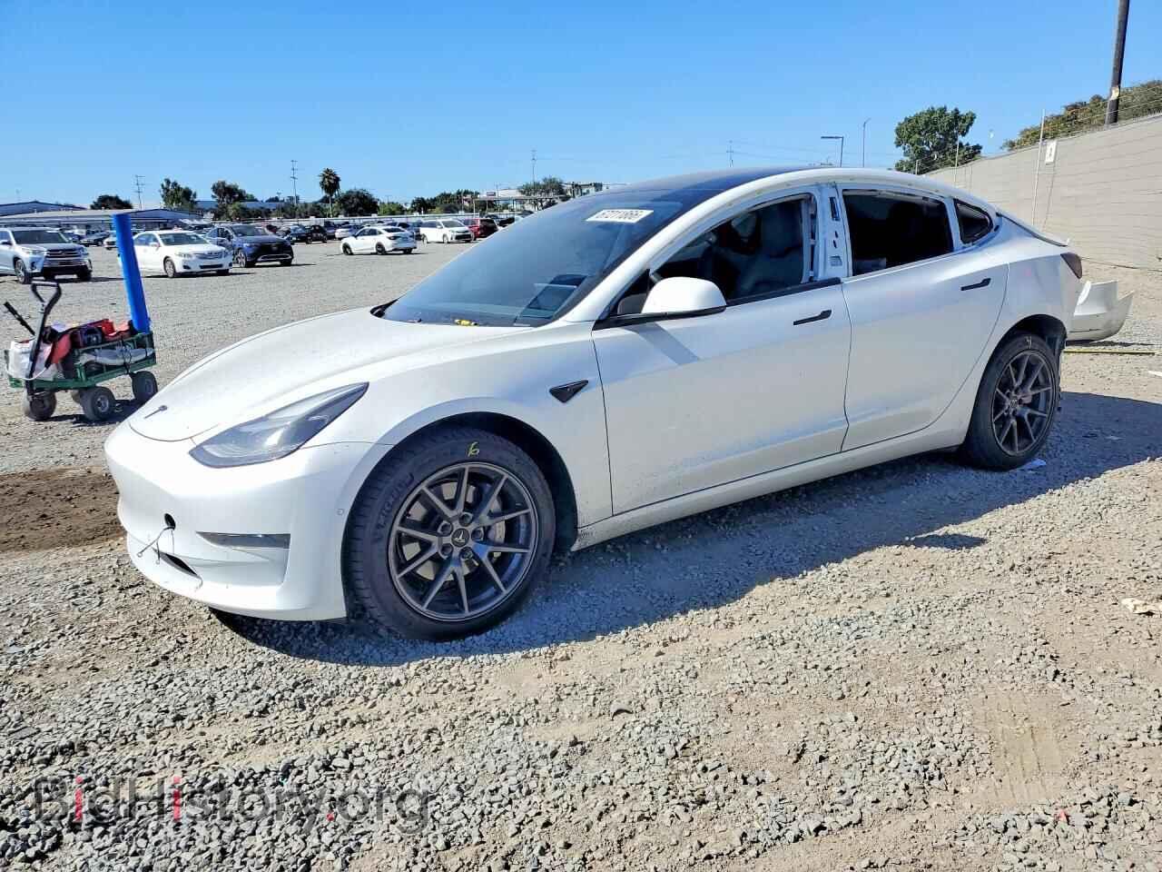 Photo 5YJ3E1EA9MF031745 - TESLA MODEL 3 2021