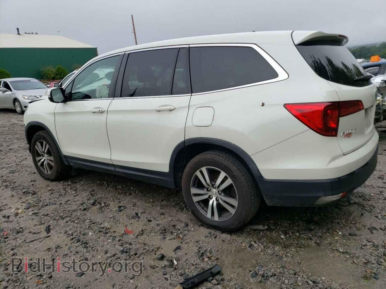 2017 HONDA PILOT - VIN: 5FNYF6H56HB054761 - Фото 2