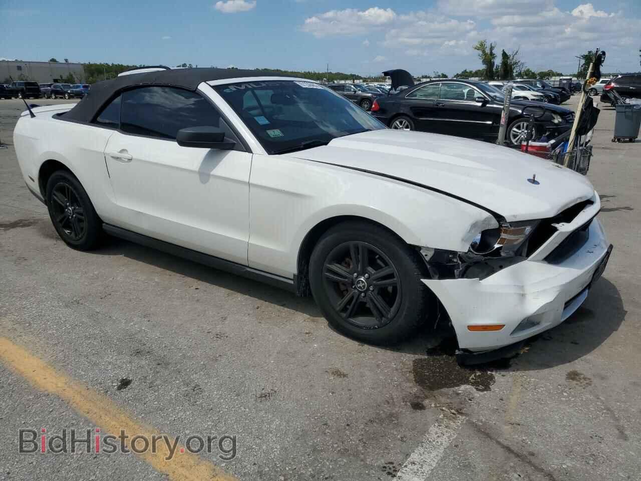 2010 FORD ALL Models - VIN: 1ZVBP8EN2A5170238 - Фото 4