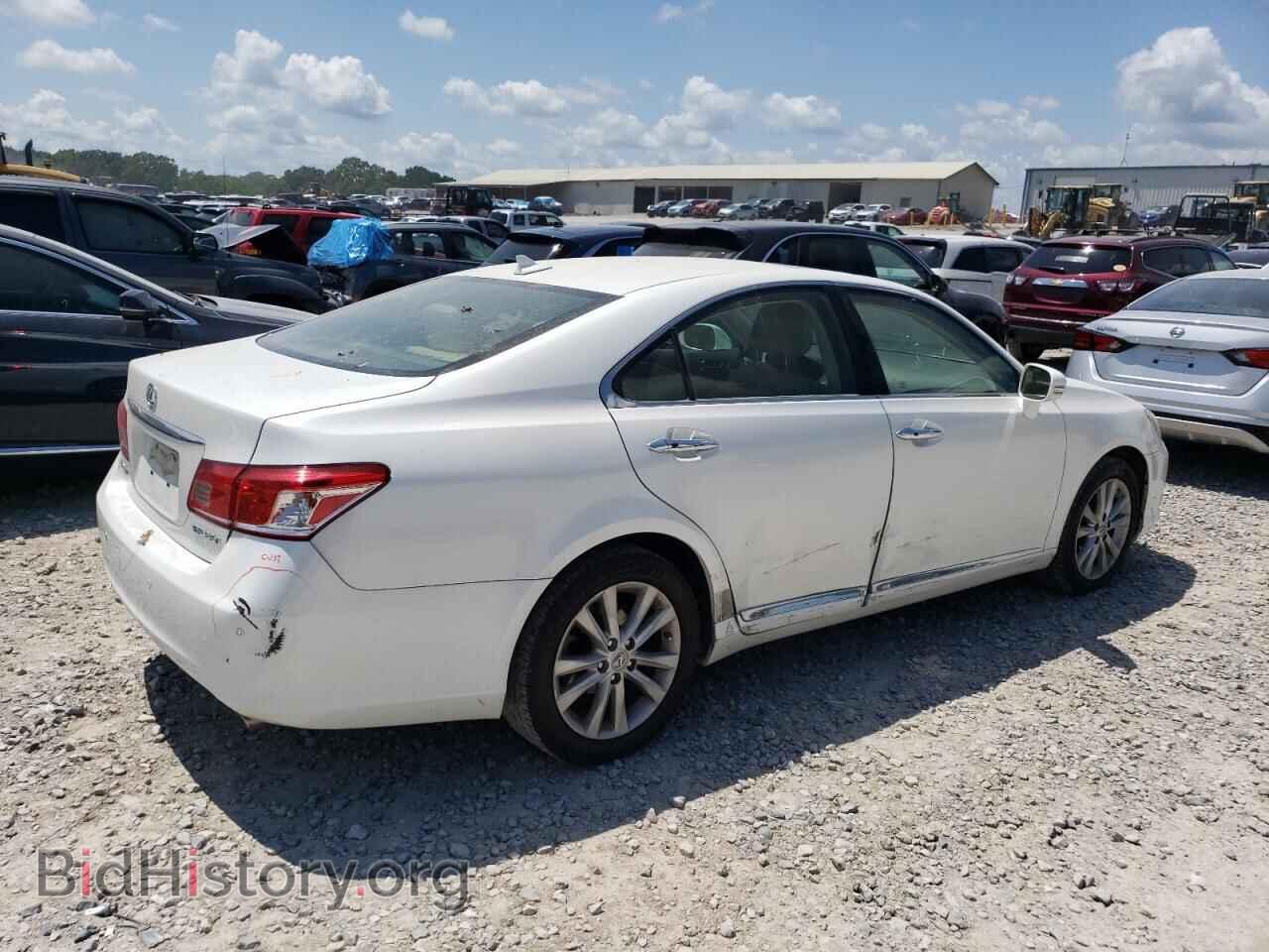 2010 LEXUS ES350 - VIN: JTHBK1EG9A2406538 - Фото 3