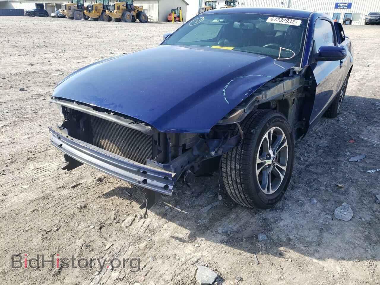 2013 FORD MUSTANG - VIN: 1ZVBP8AM2D5248924 - Фото 9