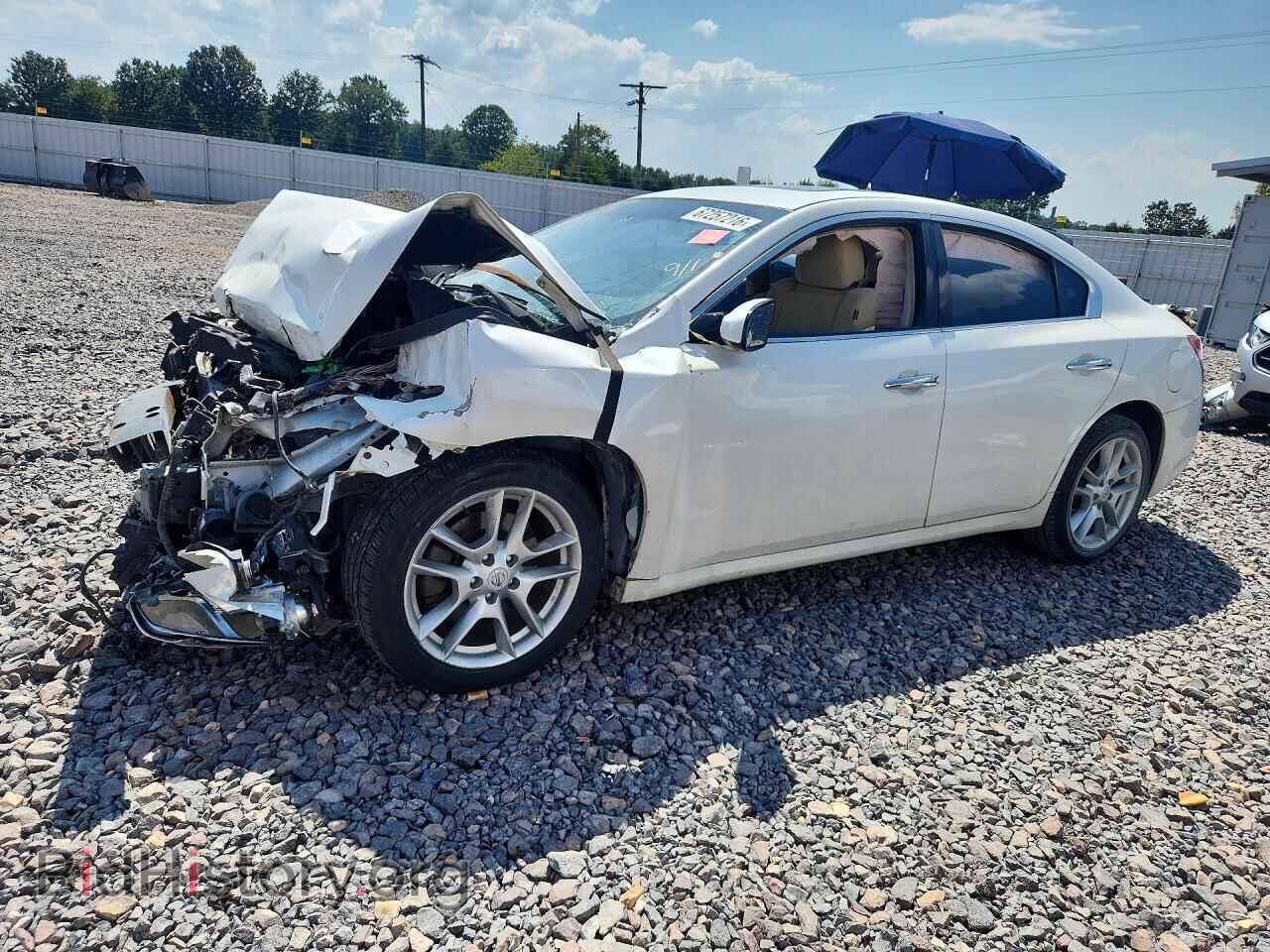 Photo 1N4AA5AP8BC831022 - NISSAN MAXIMA 2011