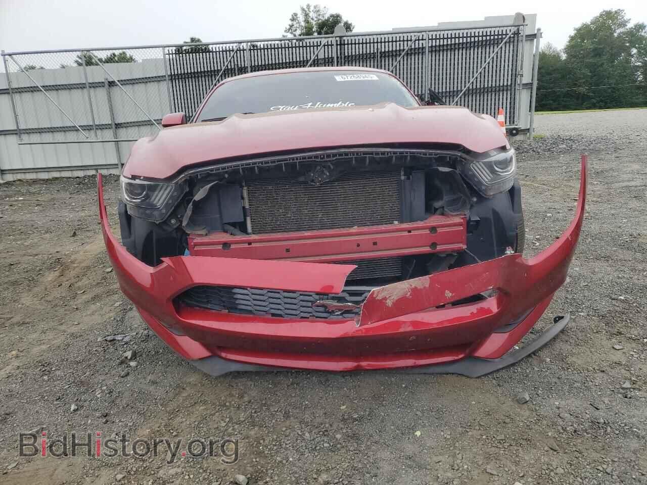2017 FORD ALL Models - VIN: 1FA6P8AM1H5255265 - Фото 5