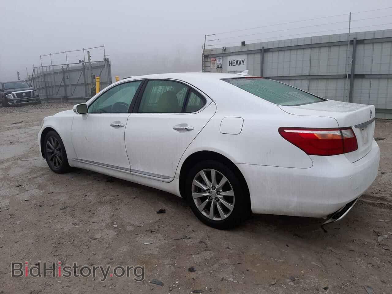 2011 LEXUS LS460 - VIN: JTHCL5EF9B5009704 - Photo 2