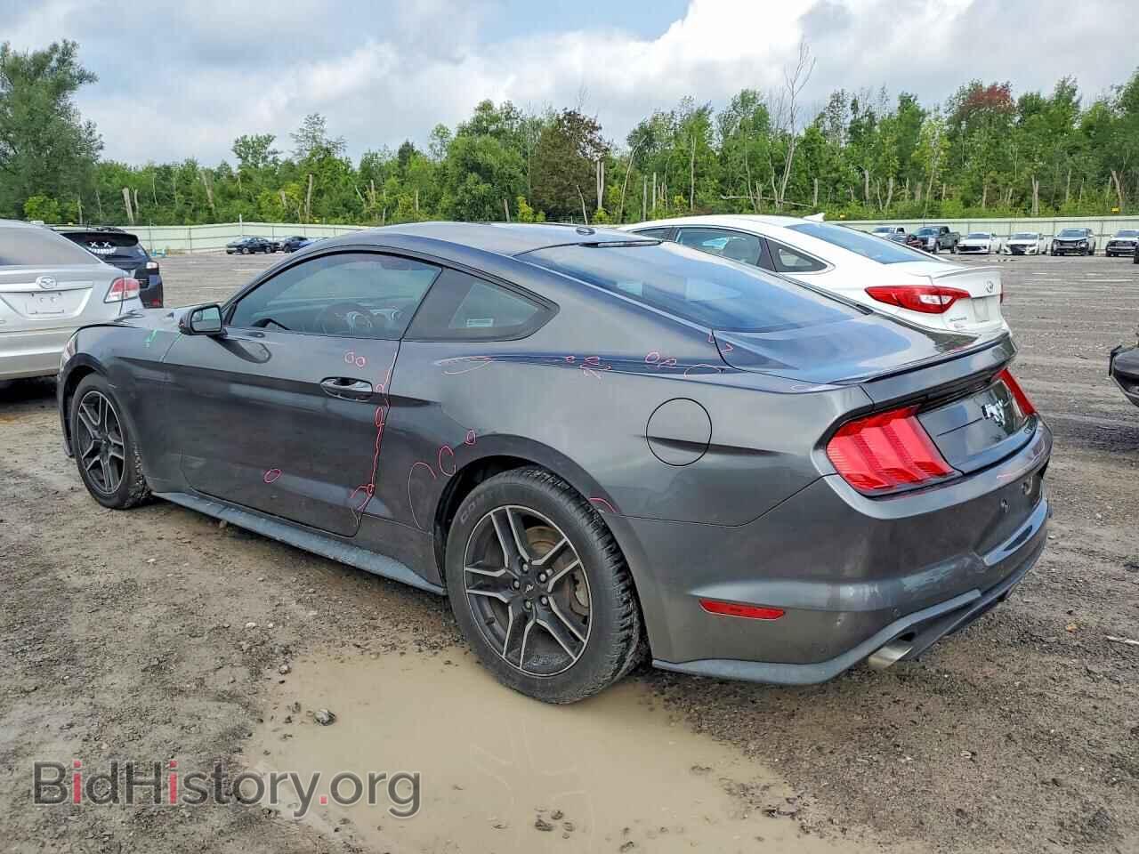 2019 FORD MUSTANG - VIN: 1FA6P8THXK5114640 - Фото 2