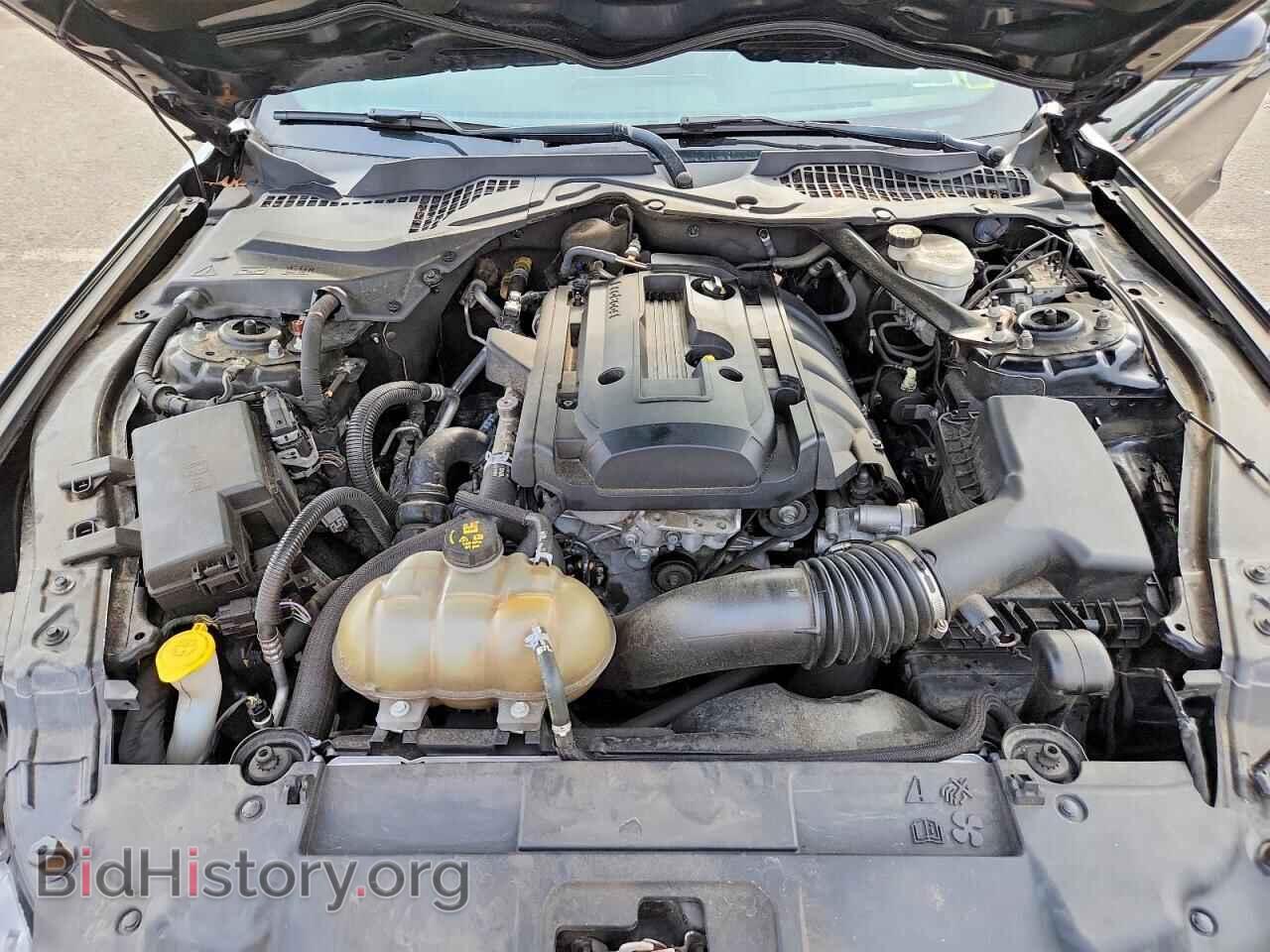 2019 FORD MUSTANG - VIN: 1FATP8UH4K5182000 - Фото 11