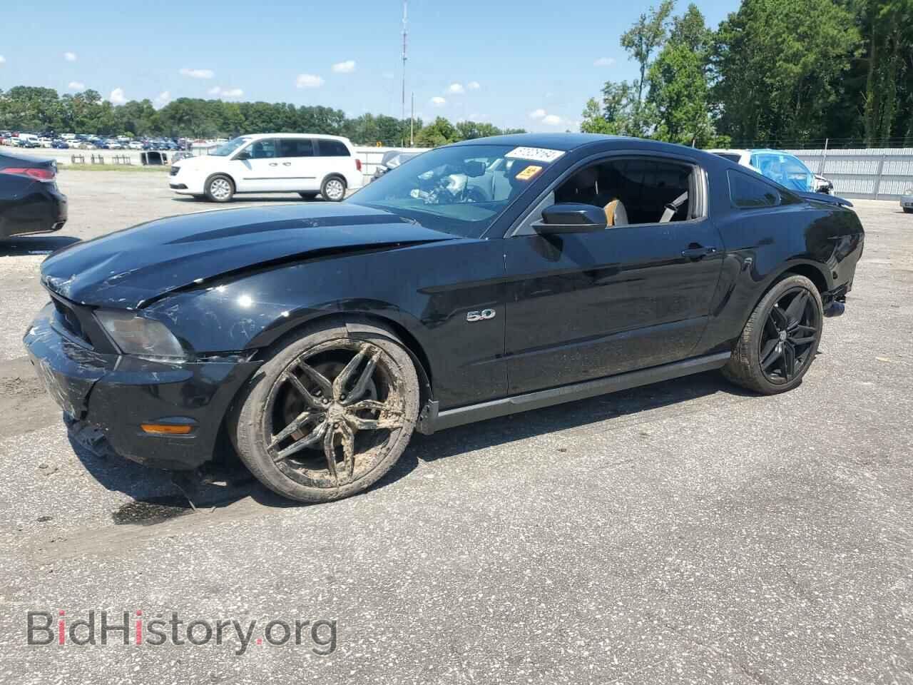 Фотография 1ZVBP8CF5C5276830 - FORD MUSTANG 2012