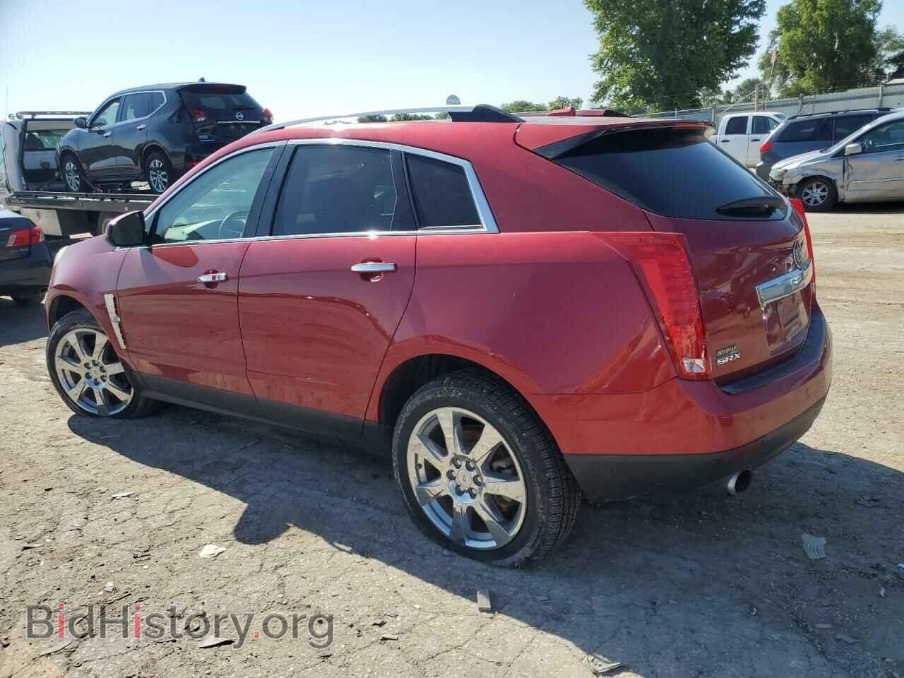 2011 CADILLAC SRX - VIN: 3GYFNCEY7BS554024 - Фото 2