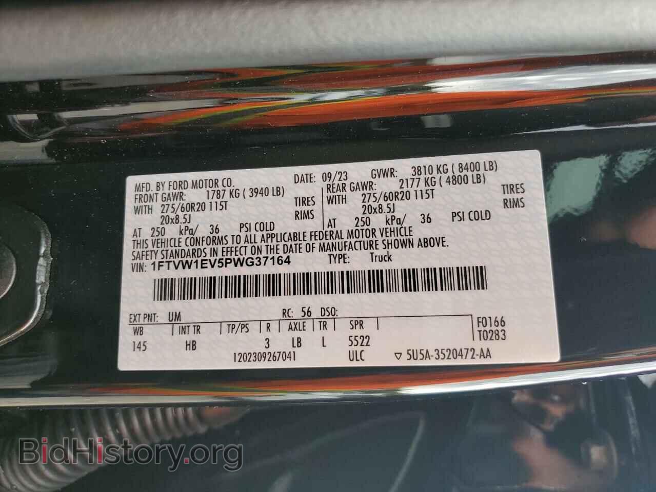 2023 FORD F150 LIGHT - VIN: 1FTVW1EV5PWG37164 - Фото 12