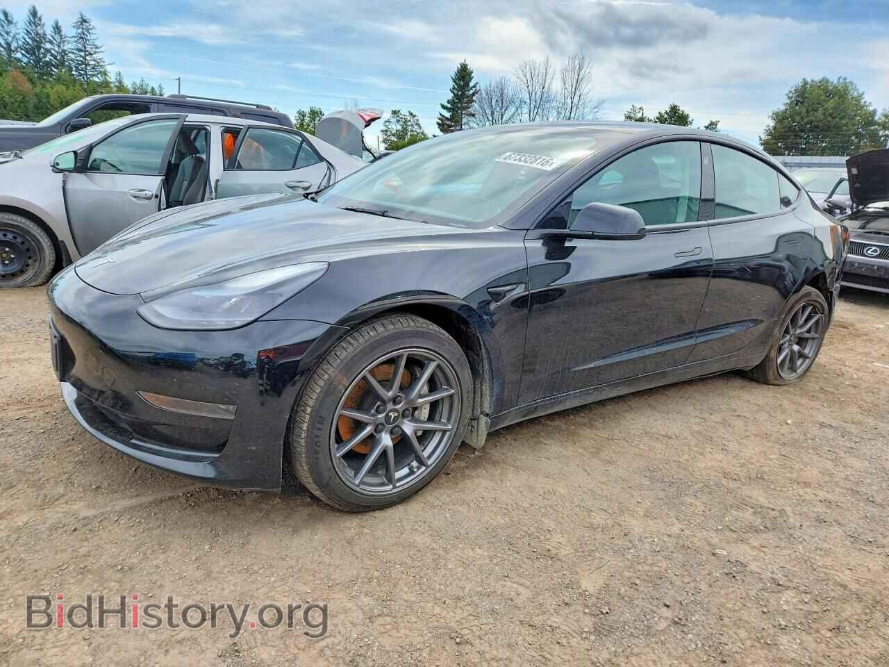 Фотография LRW3E1FA8PC899782 - TESLA MODEL 3 2023