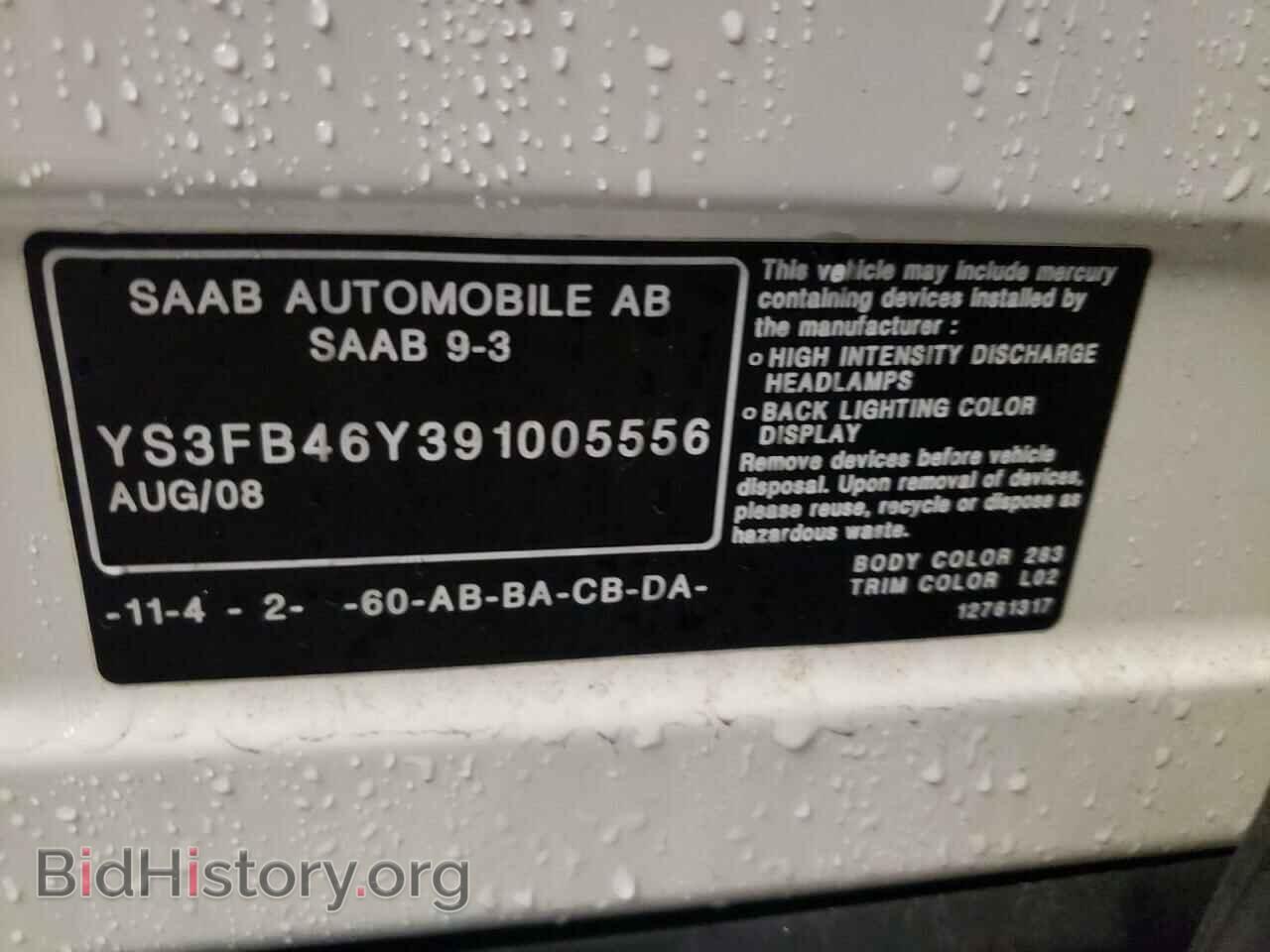 2009 SAAB 9 3 - VIN: YS3FB46Y391005556 - Фото 10