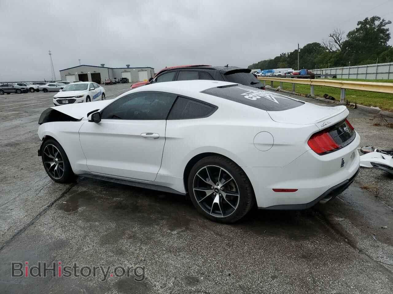 2019 FORD ALL Models - VIN: 1FA6P8TH2K5173858 - Photo 2