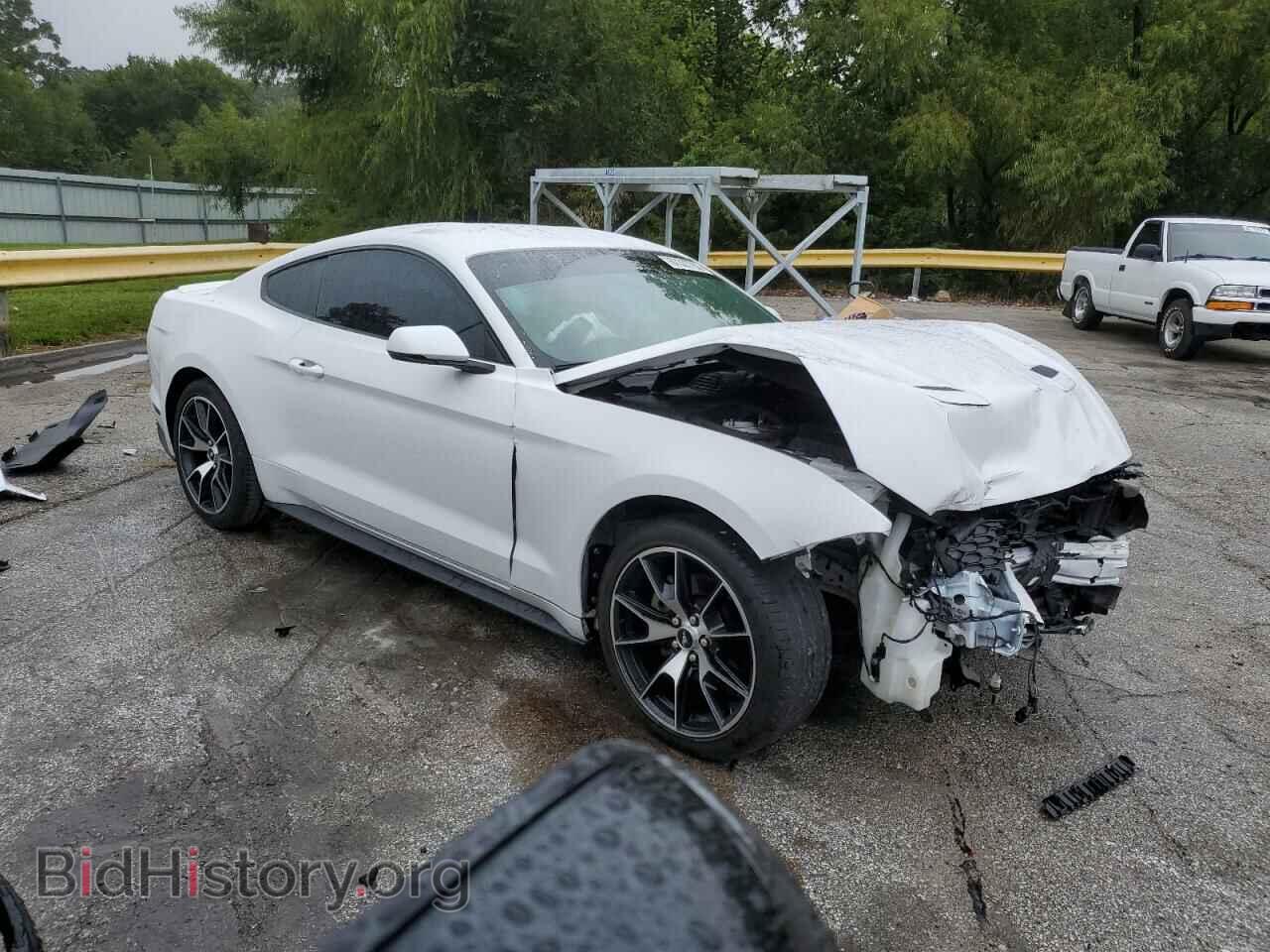 2019 FORD ALL Models - VIN: 1FA6P8TH2K5173858 - Photo 4