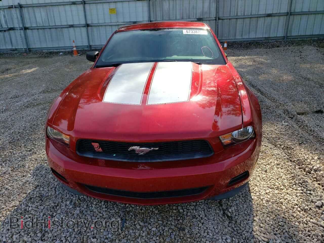 2012 FORD MUSTANG - VIN: 1ZVBP8AM9C5218074 - Фото 5