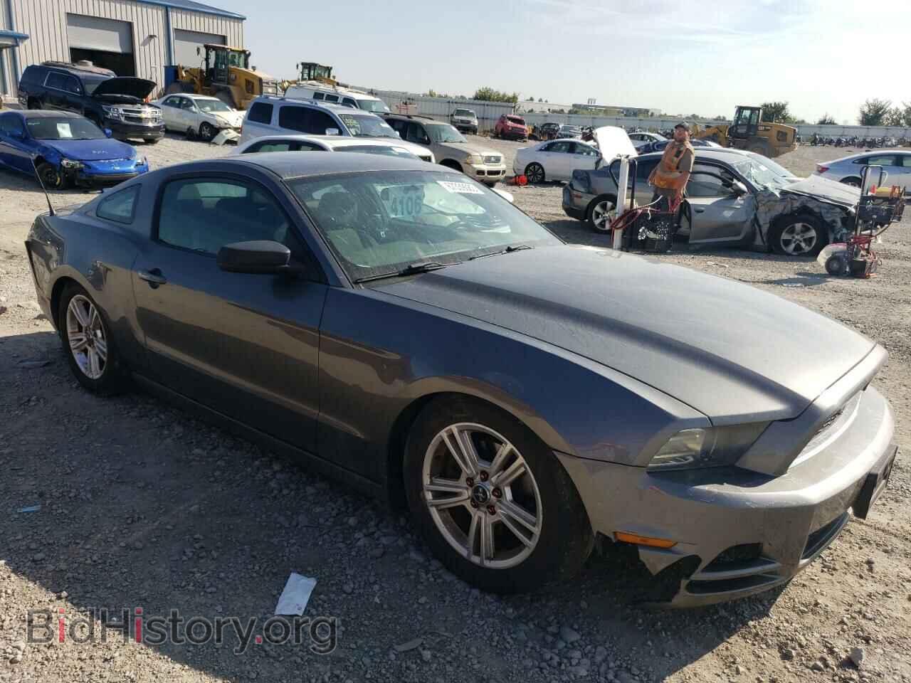 2014 FORD ALL Models - VIN: 1ZVBP8AMXE5236196 - Фото 4