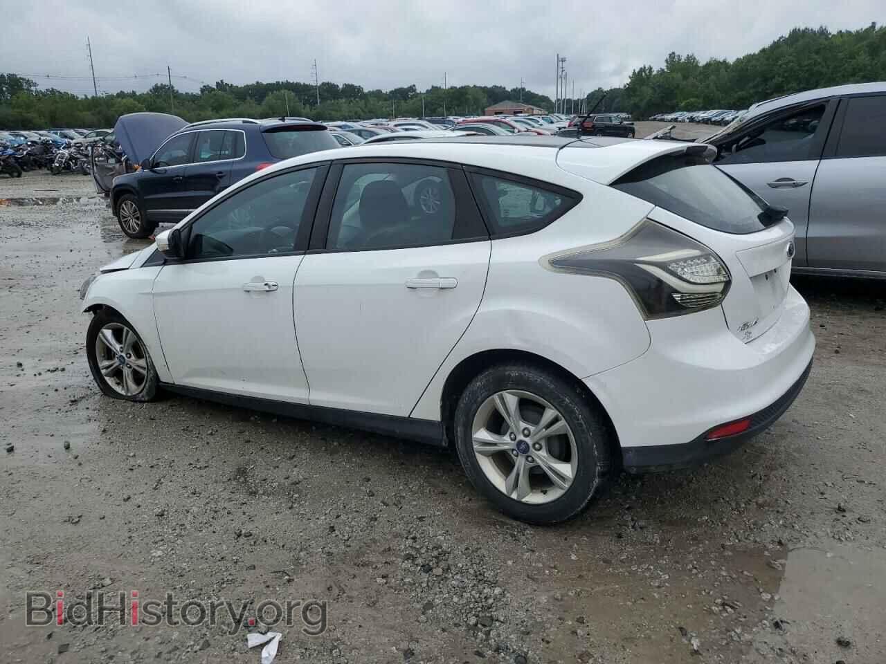 2013 FORD FOCUS - VIN: 1FADP3K24DL215727 - Фото 2