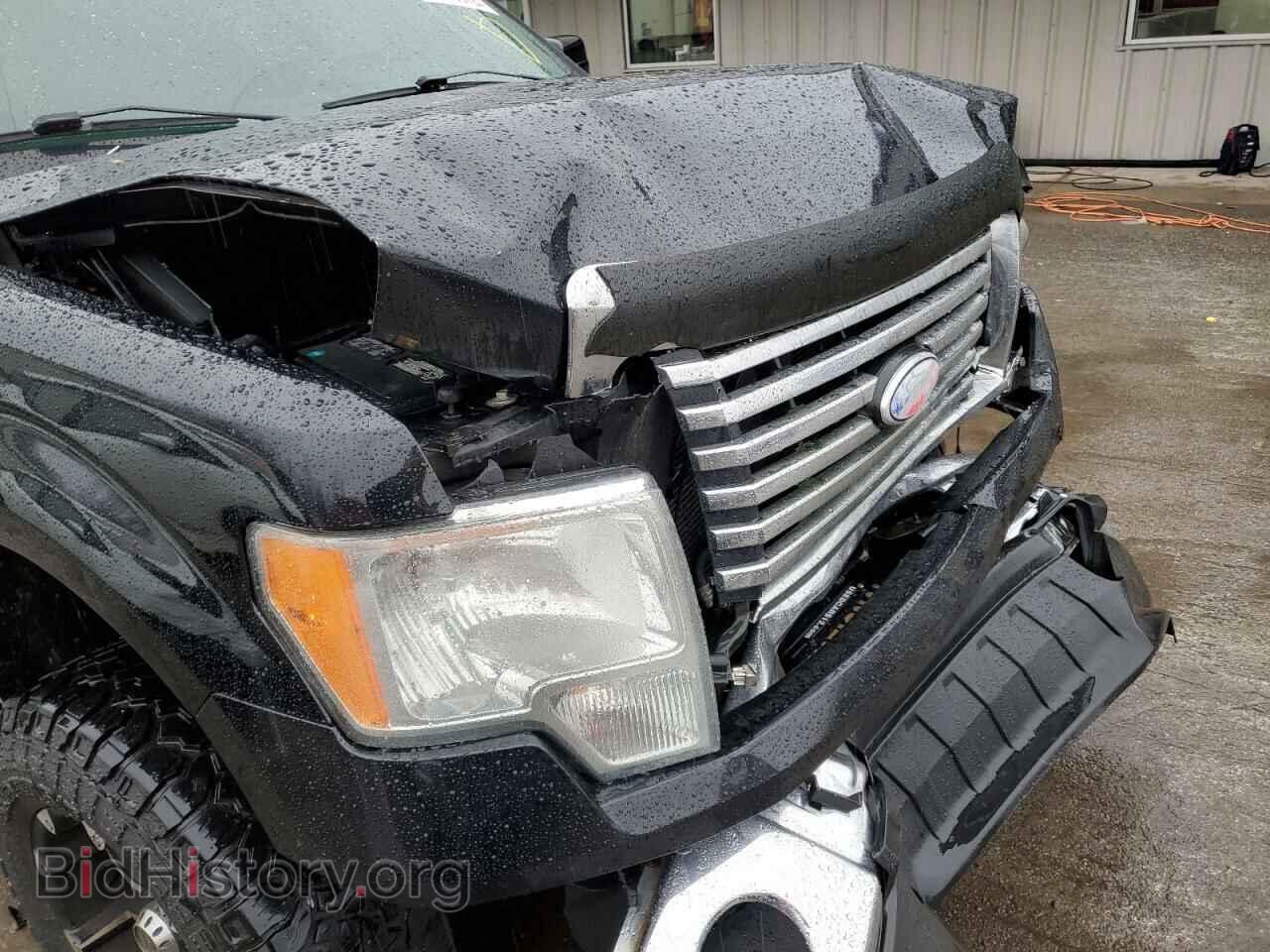 2011 FORD F-150 - VIN: 1FTFX1EF1BFA97329 - Фото 9