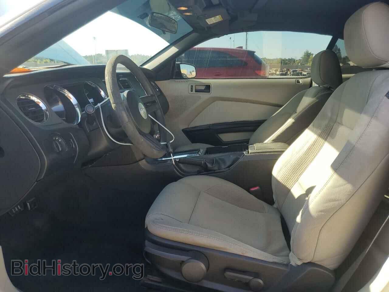 2010 FORD ALL Models - VIN: 1ZVBP8EN8A5175203 - Фото 7