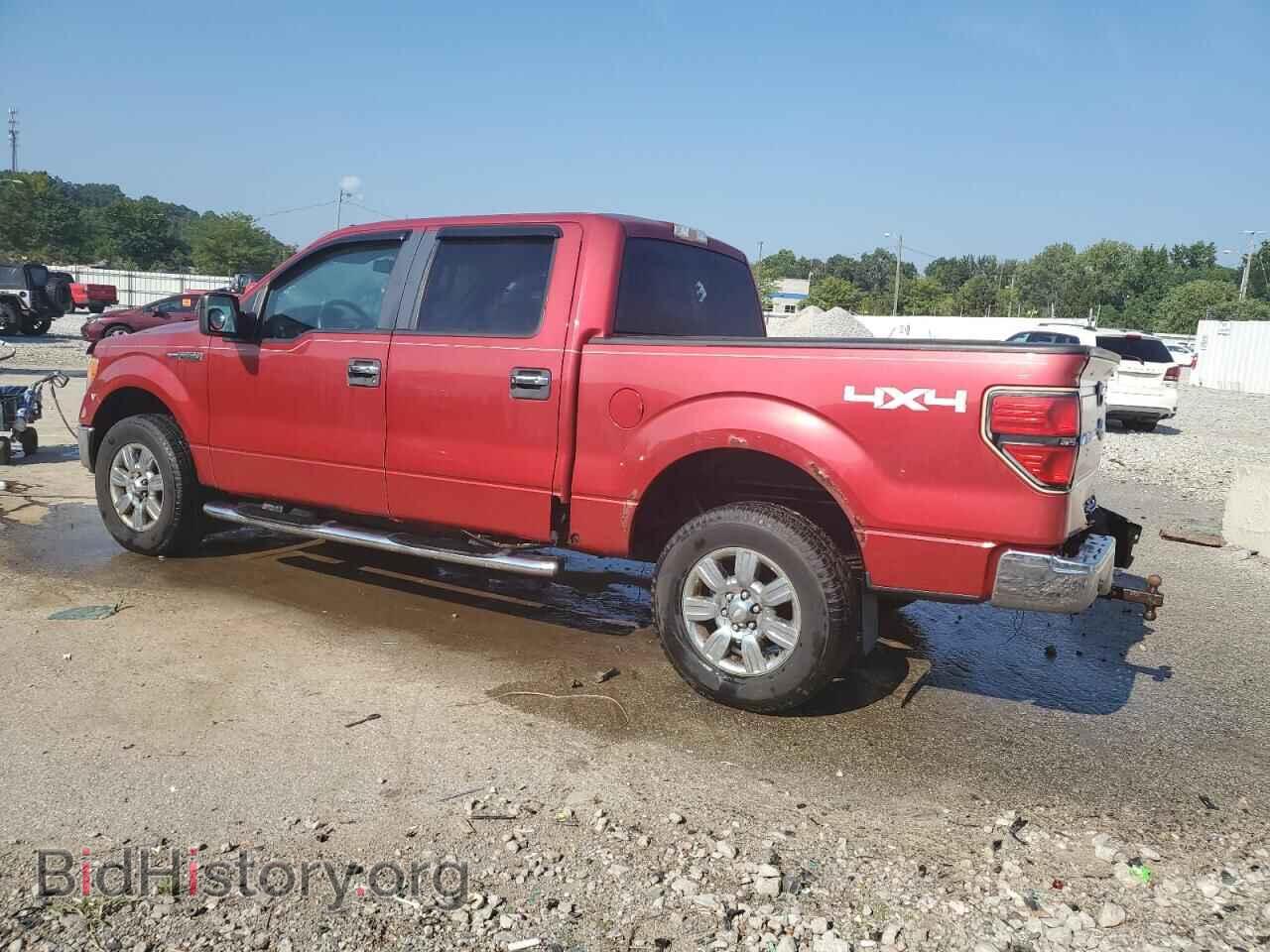 2010 FORD F-150 - VIN: 1FTFW1EV3AFB44661 - Фото 2