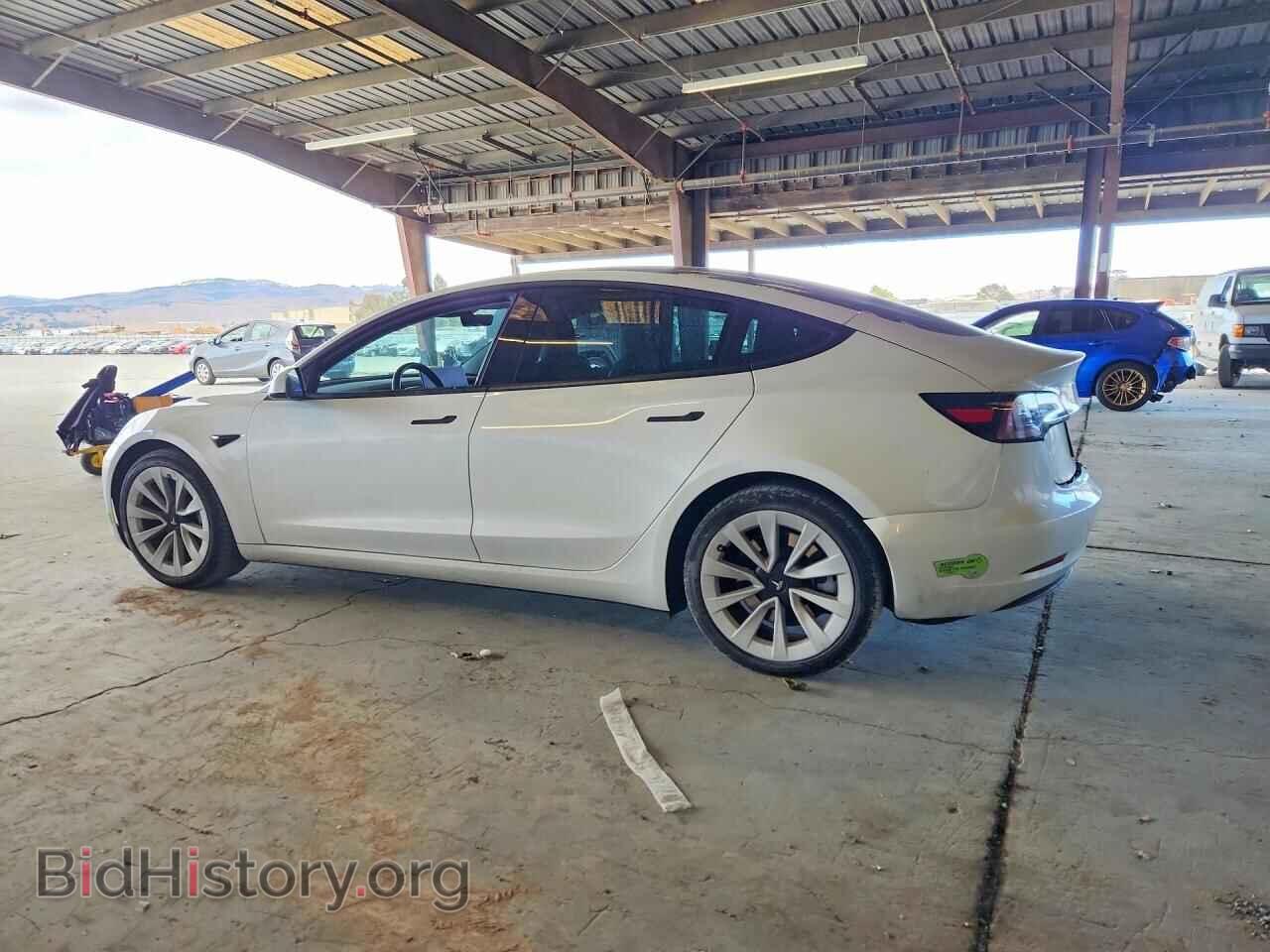 2023 TESLA MODEL 3 - VIN: 5YJ3E1EA2PF430341 - Фото 2