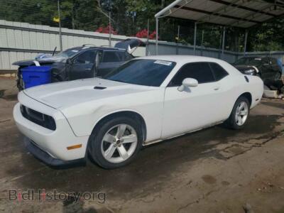 2014 Dodge CHALLENGER SXT, белый — VIN 2C3CDYAG1EH247725, Copart