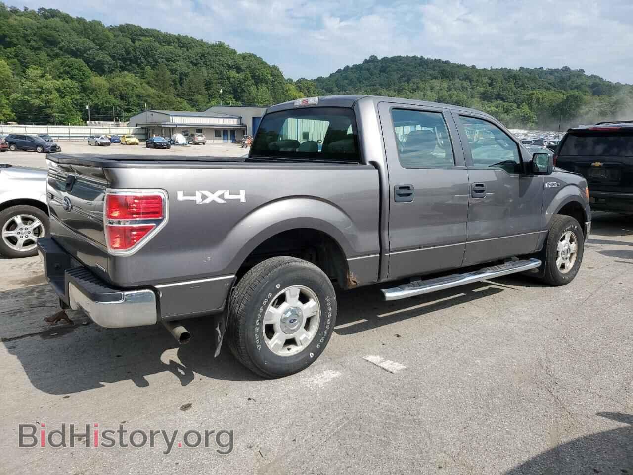 2013 FORD F-150 - VIN: 1FTFW1EF1DFD66029 - Фото 3