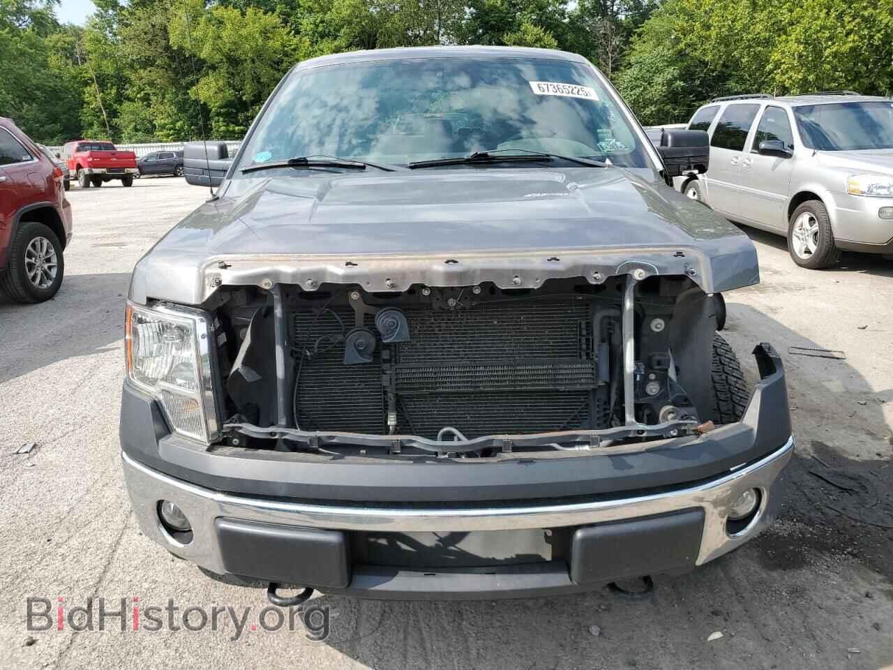 2013 FORD F-150 - VIN: 1FTFW1EF1DFD66029 - Фото 5