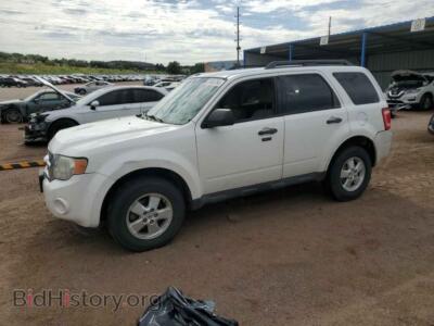 2010 Ford ESCAPE XLT, белый — VIN 1FMCU9DG7AKB89826, Copart