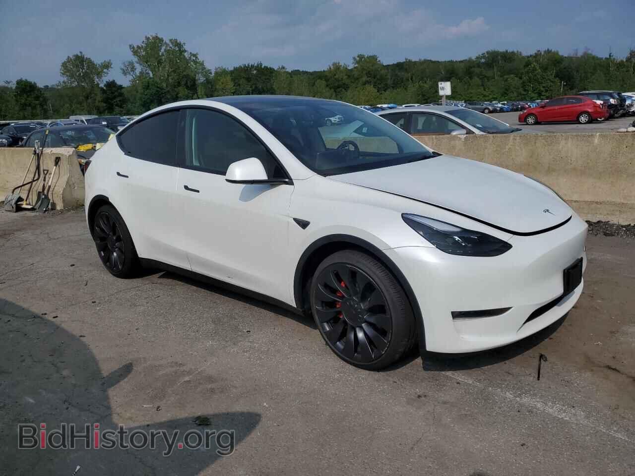 2024 TESLA MODEL Y - VIN: 7SAYGDEF0RA312272 - Фото 4
