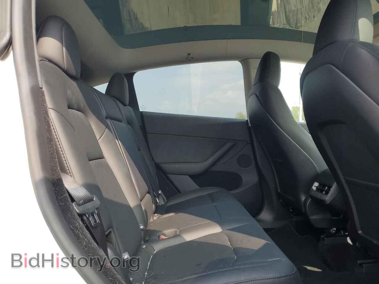 2024 TESLA MODEL Y - VIN: 7SAYGDEF0RA312272 - Фото 10