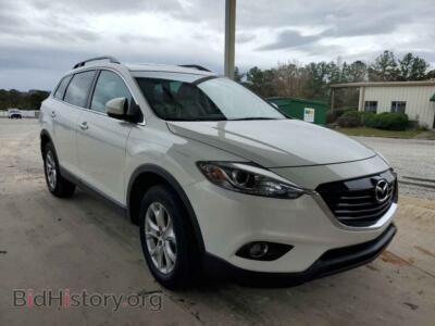 2014 Mazda CX-9 CX-9 Touri, белый — VIN JM3TB2CA1E0446132, Copart