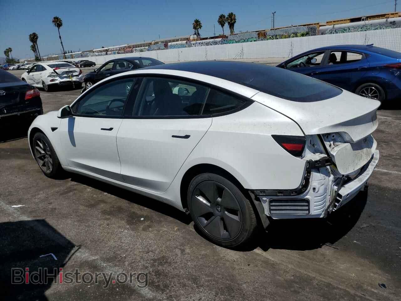 2023 TESLA MODEL 3 - VIN: 5YJ3E1EA0PF556584 - Photo 2