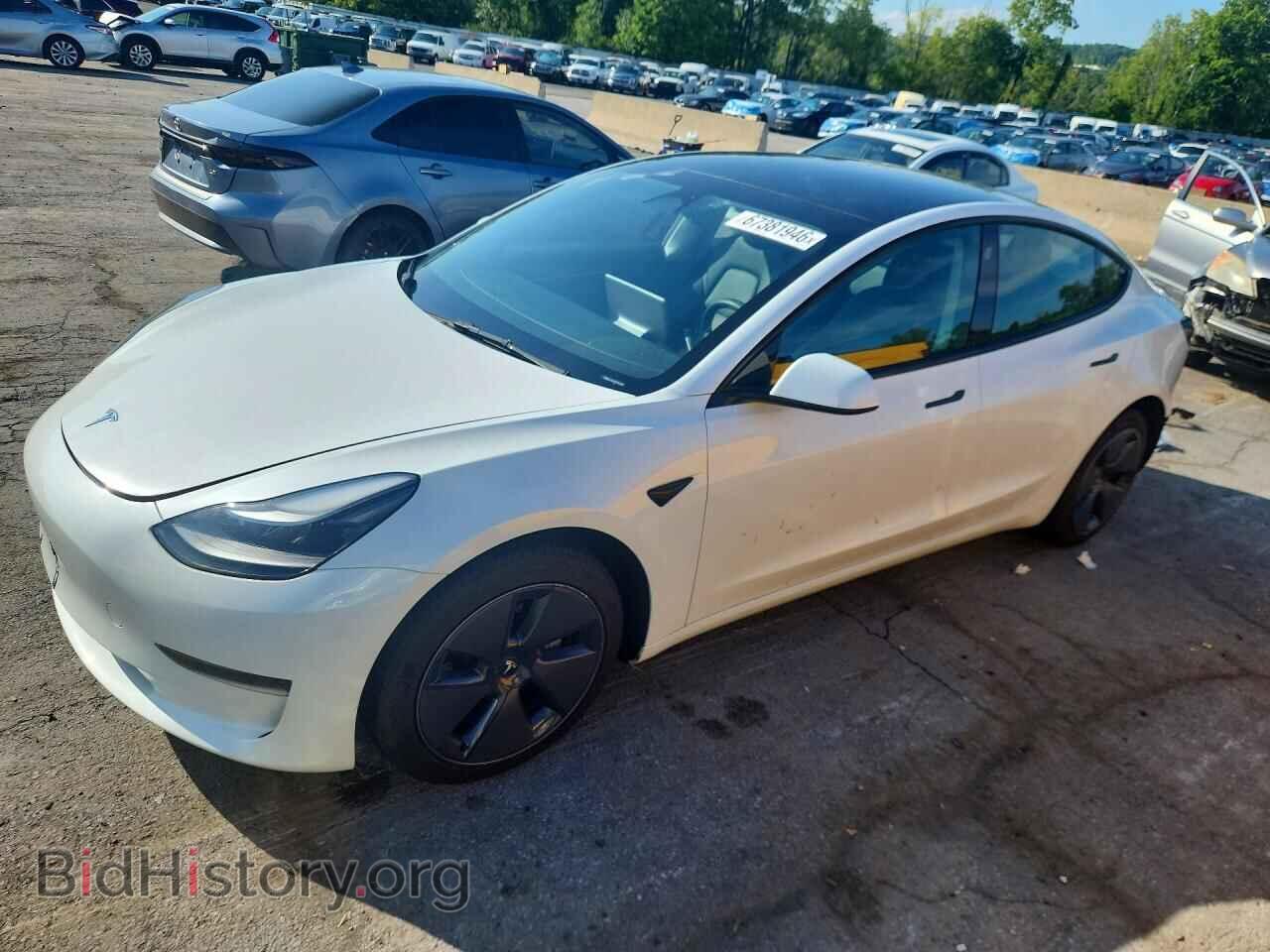 Photo 5YJ3E1EA9PF428893 - TESLA MODEL 3 2023