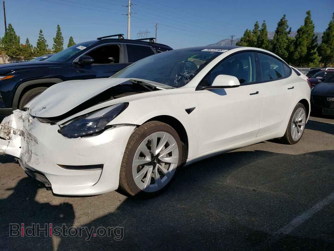 Photo 5YJ3E1EA7NF143509 - TESLA MODEL 3 2022