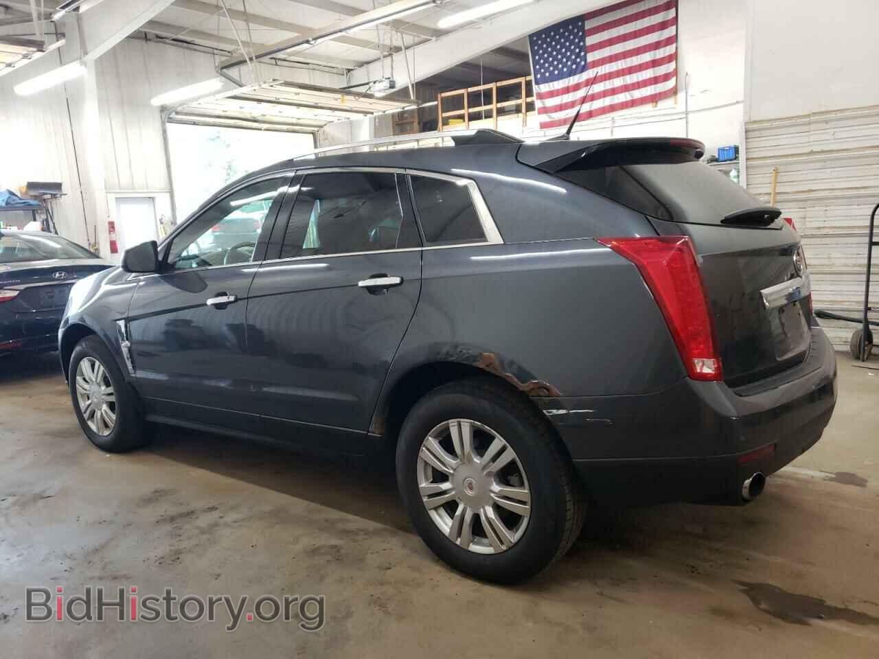 2010 CADILLAC SRX - VIN: 3GYFNDEY0AS545573 - Фото 2