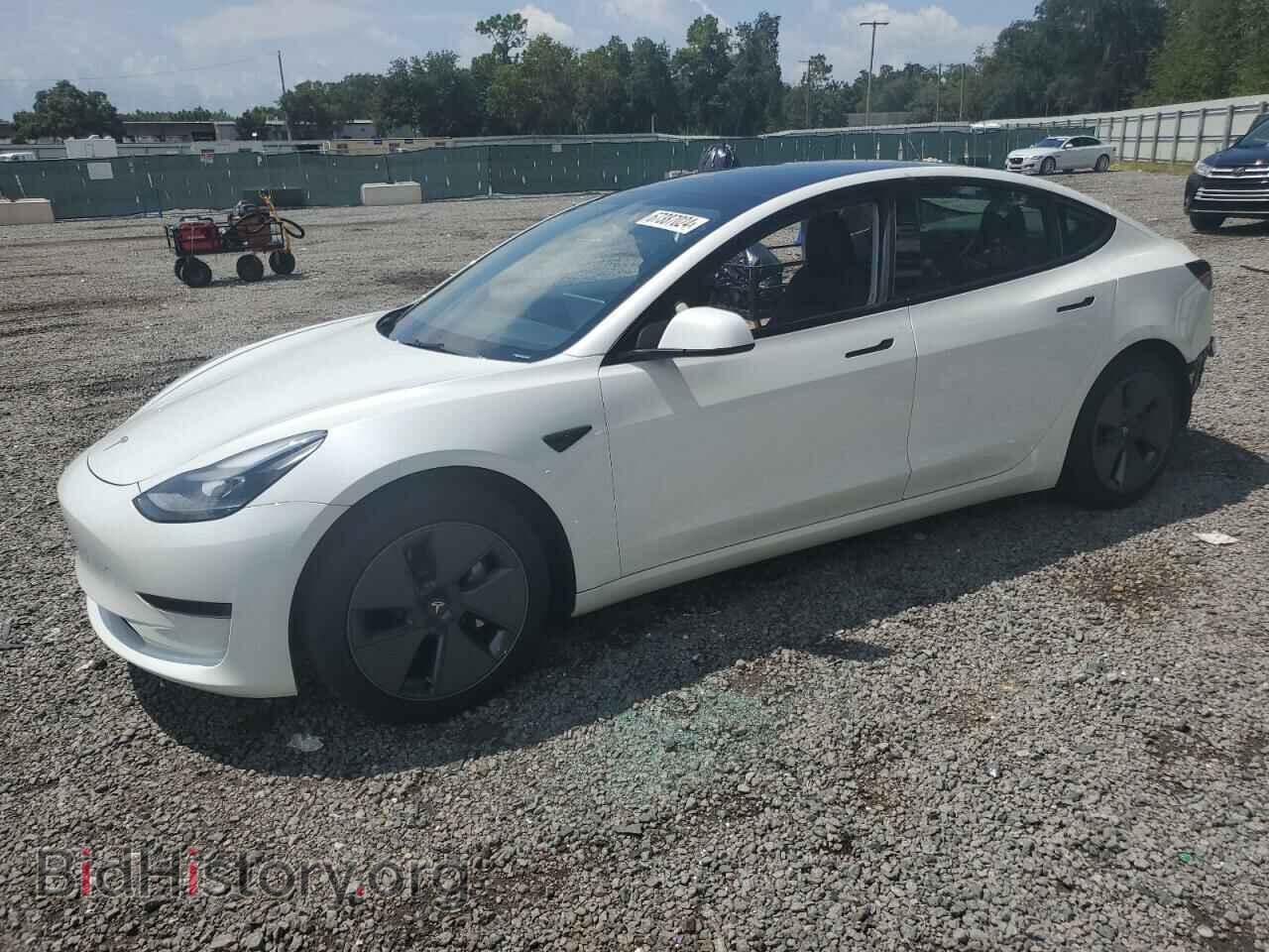 Photo 5YJ3E1EA6PF558369 - TESLA MODEL 3 2023