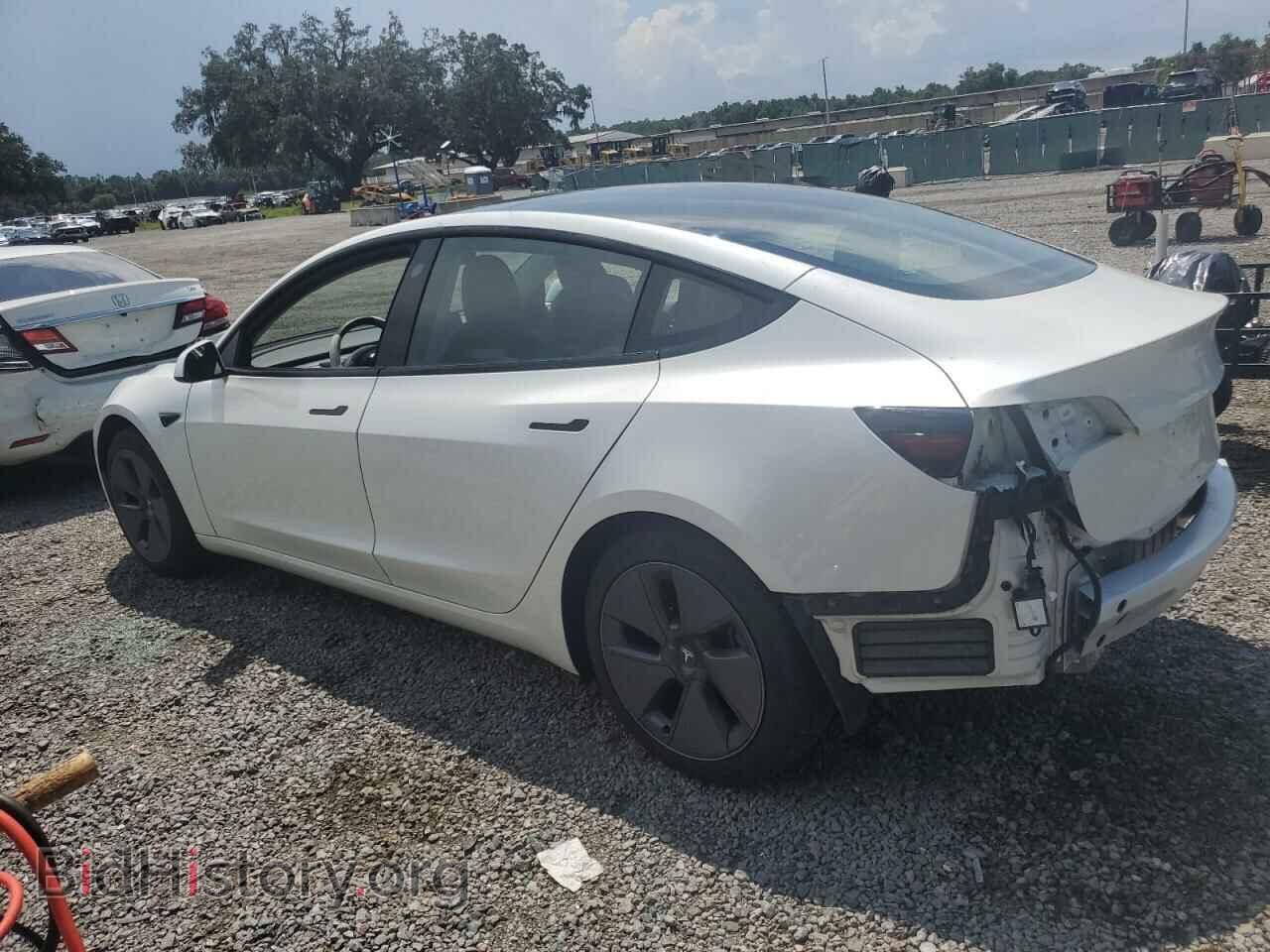 2023 TESLA MODEL 3 - VIN: 5YJ3E1EA6PF558369 - Photo 2