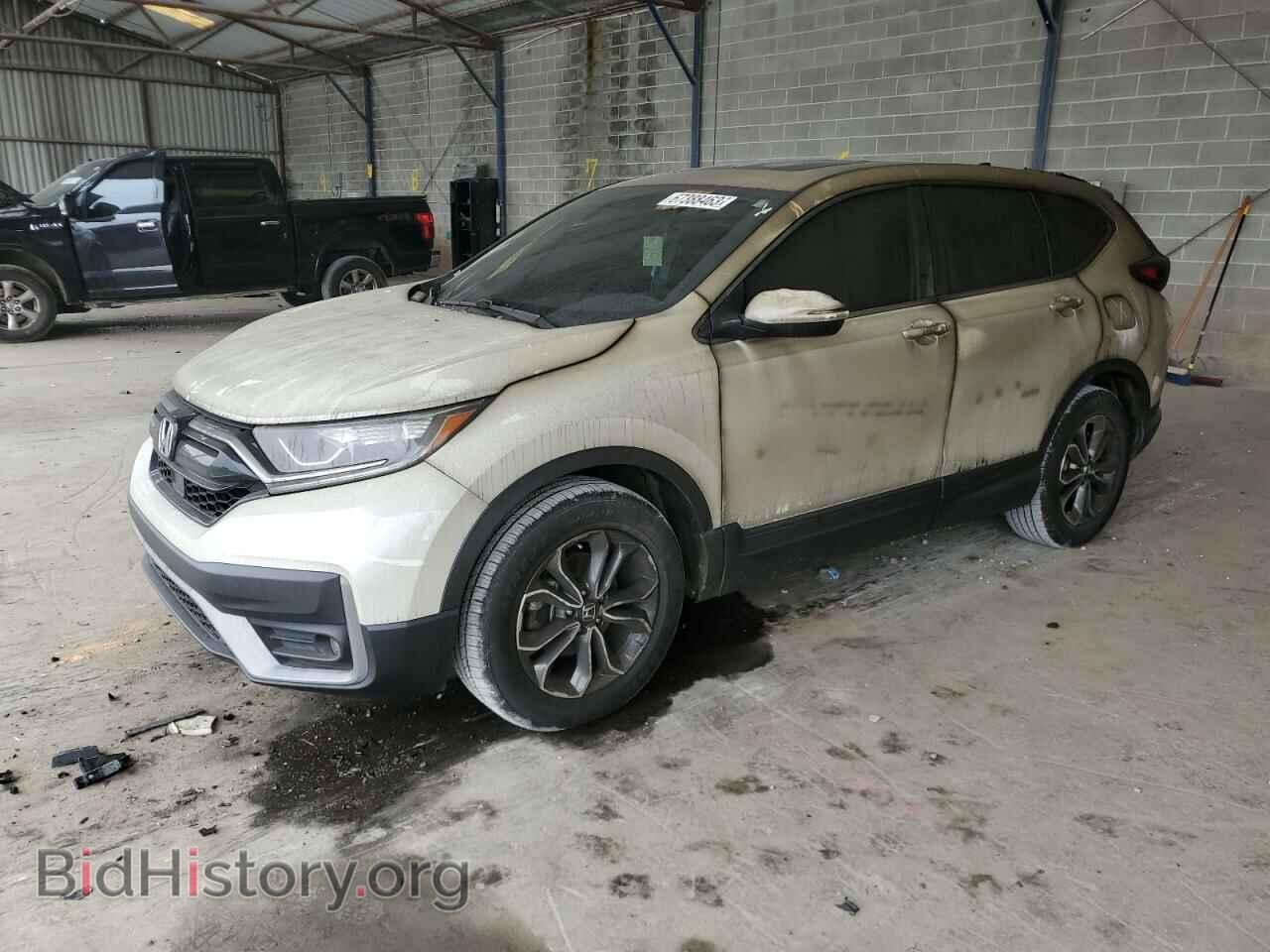 Photo 5J6RW1H55LL006269 - HONDA CRV 2020