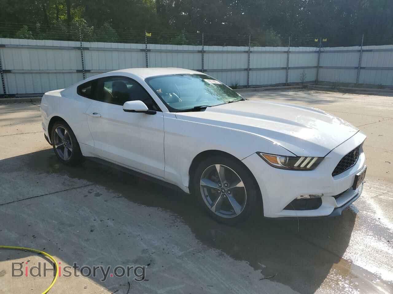 2016 FORD ALL Models - VIN: 1FA6P8TH3G5320812 - Фото 4
