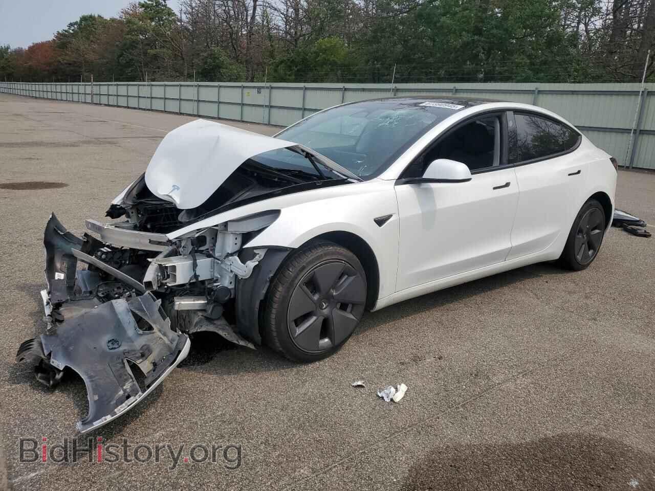 Photo 5YJ3E1EA2PF496176 - TESLA MODEL 3 2023