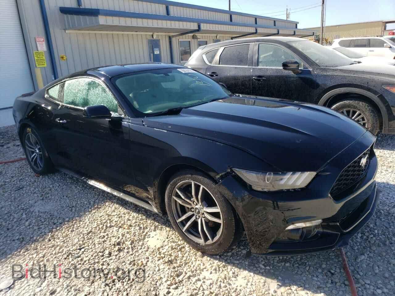 2017 FORD ALL Models - VIN: 1FA6P8TH5H5279469 - Фото 4