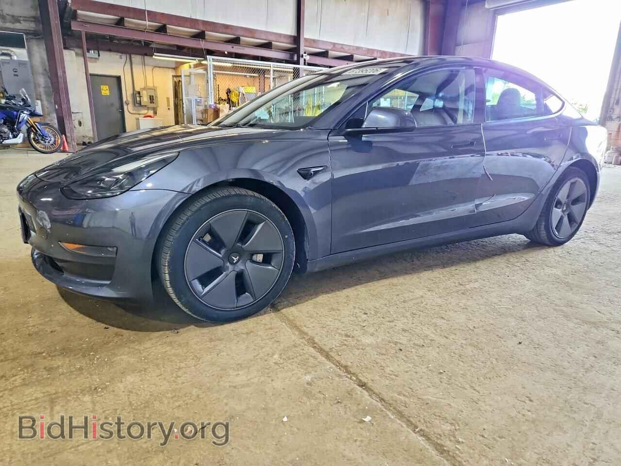 Photo 5YJ3E1EA1PF428502 - TESLA MODEL 3 2023