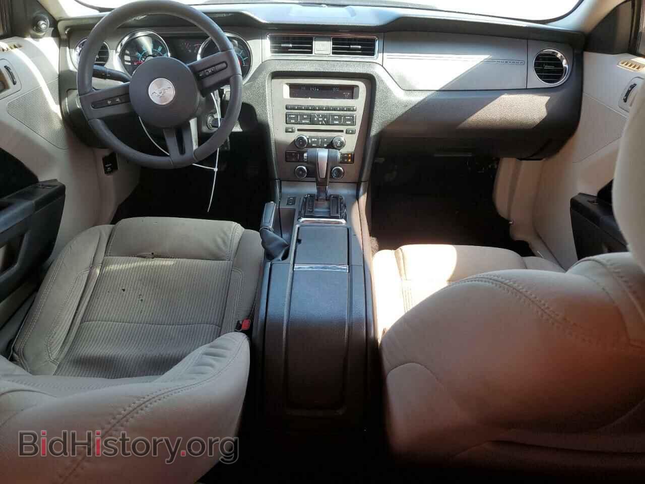 2010 FORD ALL Models - VIN: 1ZVBP8AN7A5150699 - Фото 8