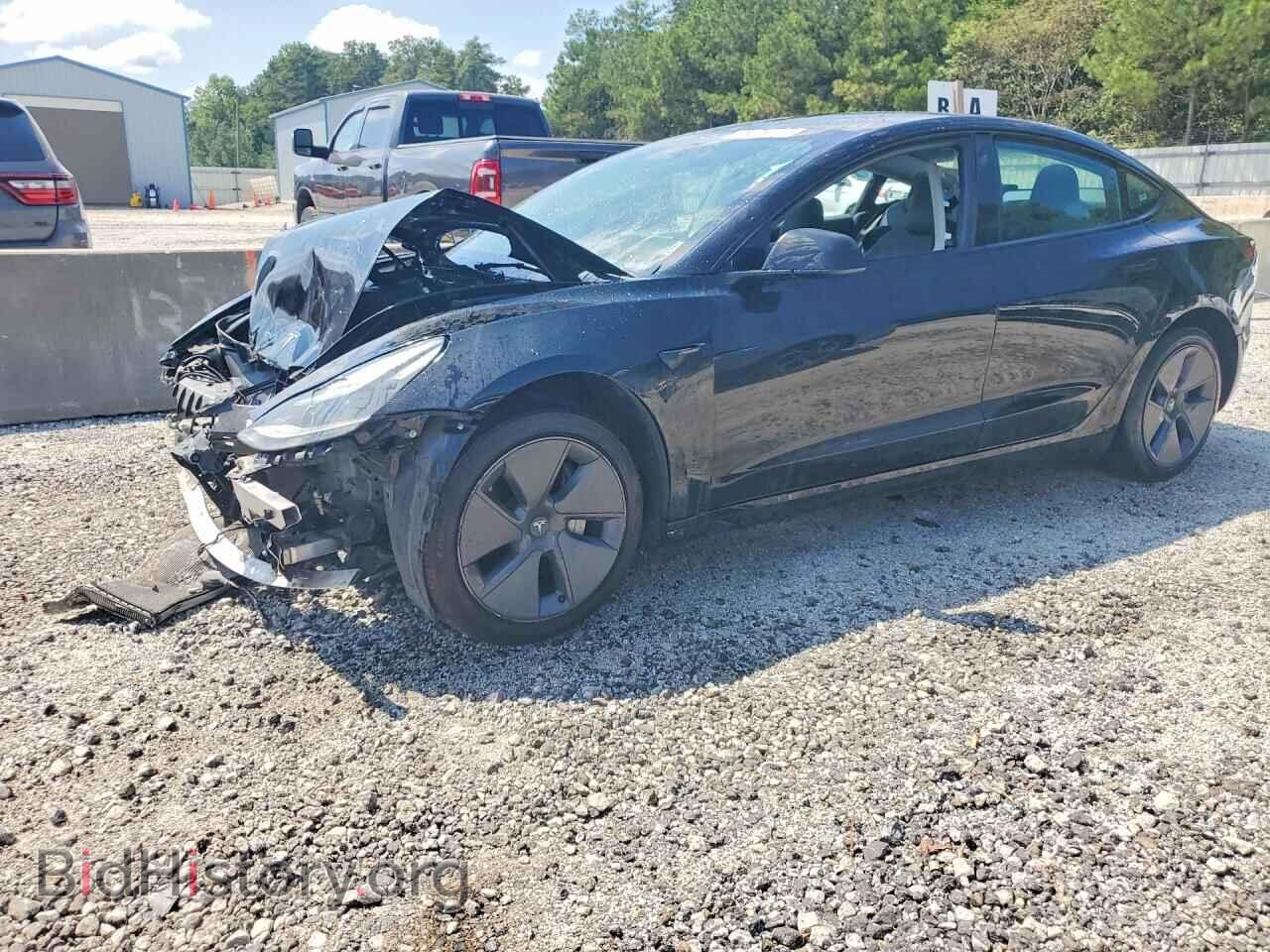 Photo 5YJ3E1EA6PF434053 - TESLA MODEL 3 2023