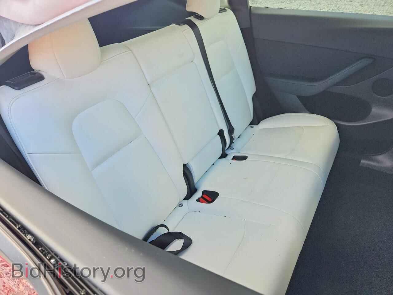 2024 TESLA MODEL Y - VIN: 7SAYGDED3RF089484 - Photo 10