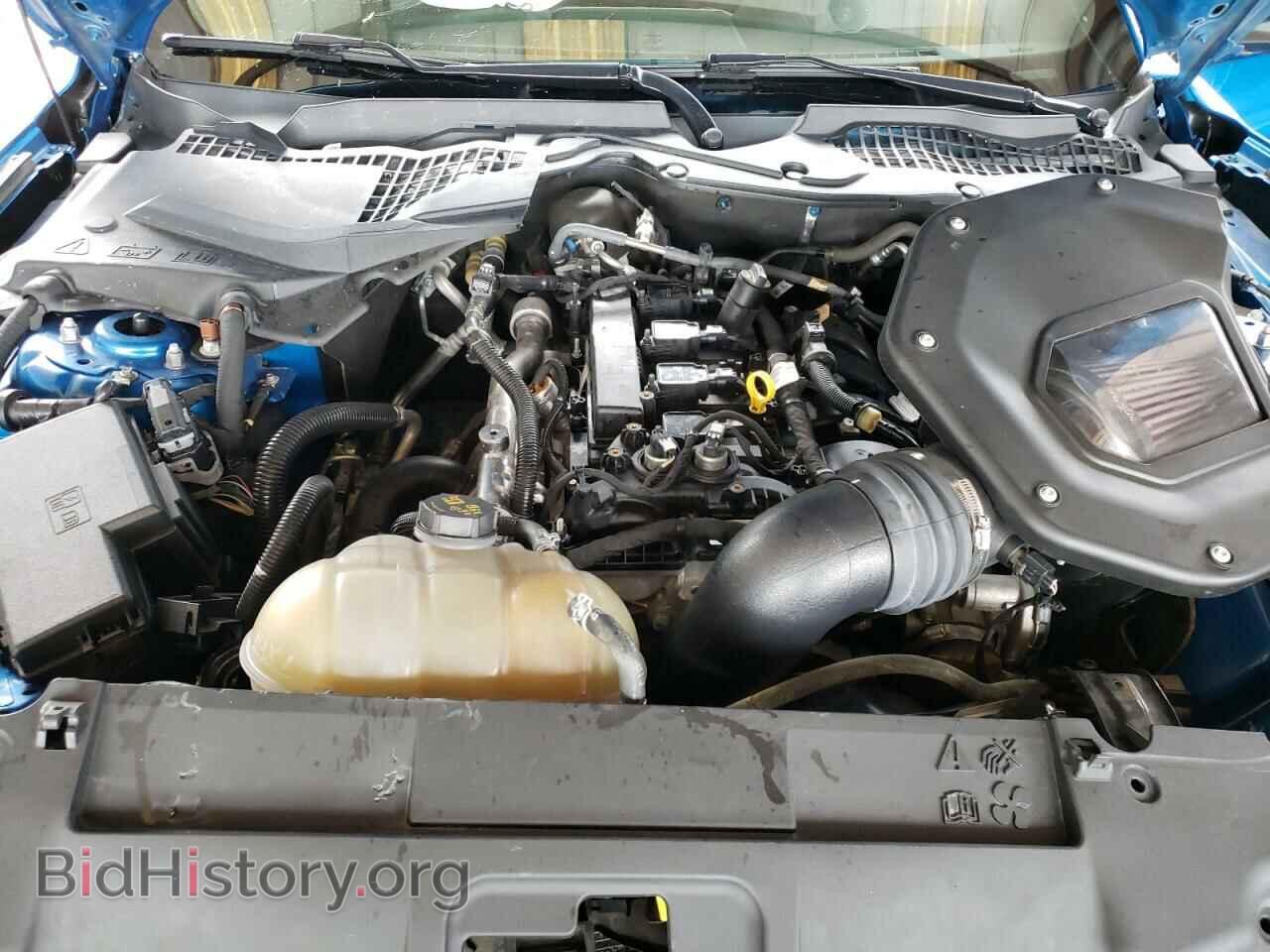 2019 FORD ALL Models - VIN: 1FA6P8TH8K5205504 - Photo 11